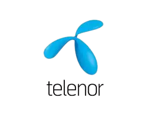 telenor academy